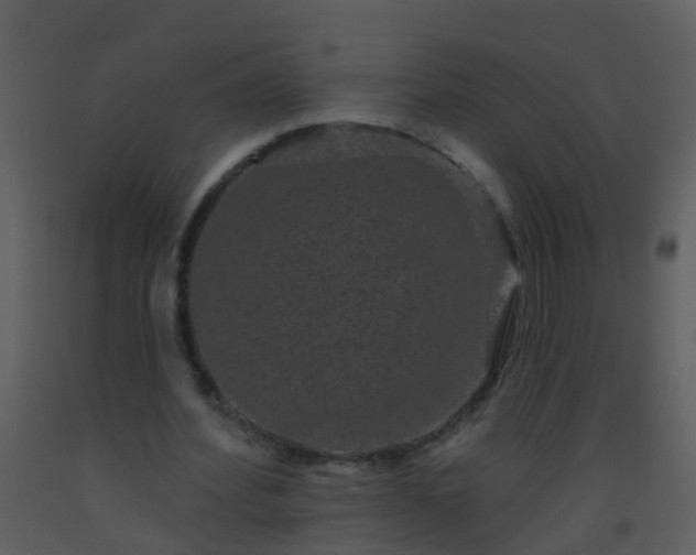 X0000093580580200710221505