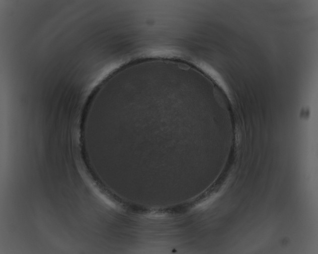 X0000093580581200710221505