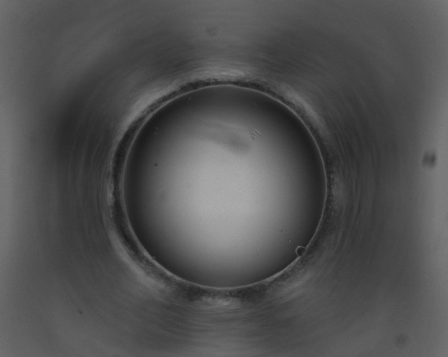 X0000093580582200710221505