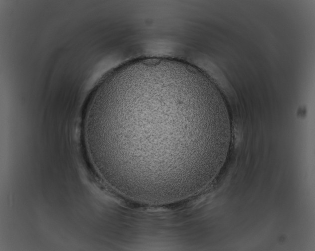 X0000093580583200710221505