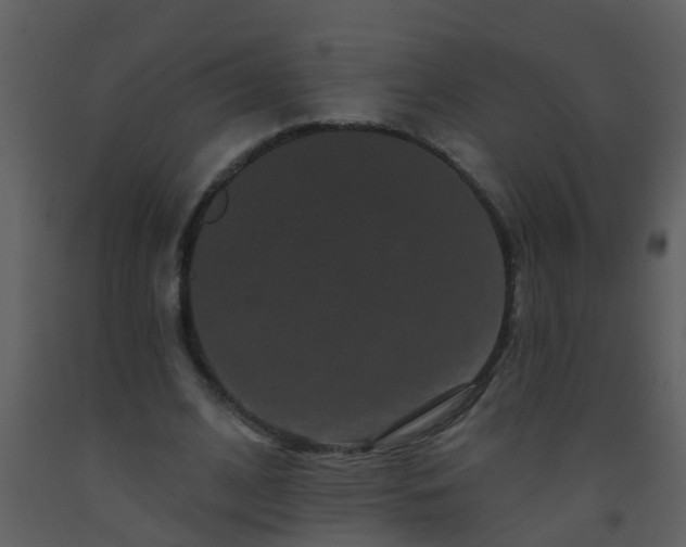 X0000093580584200710221505