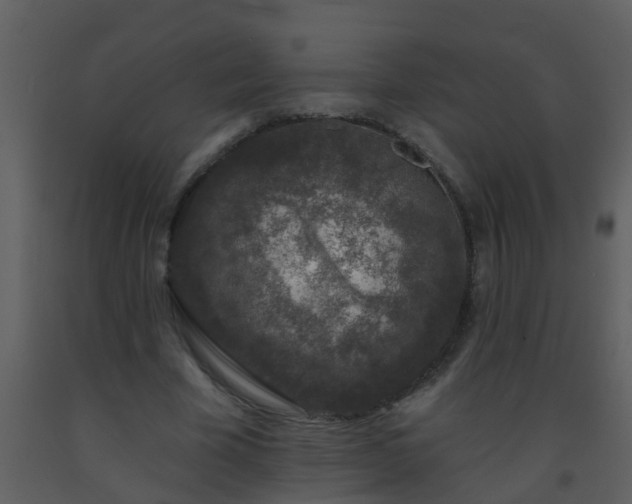 X0000093580585200710221505