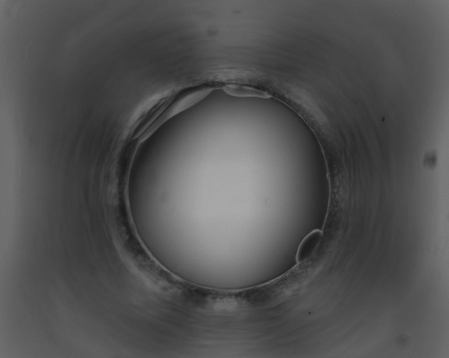 X0000093580587200710221505