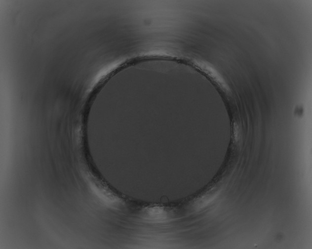 X0000093580588200710221505