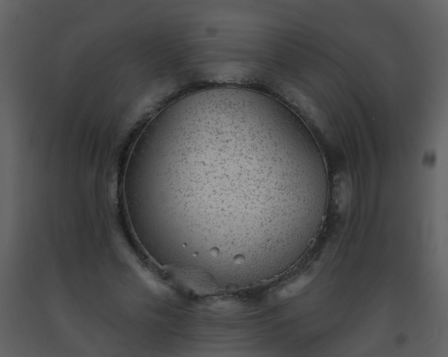 X0000093580589200710221505
