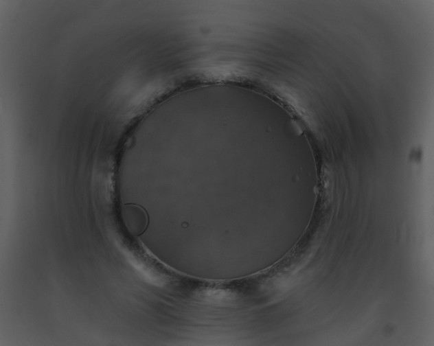 X0000093580590200710221505