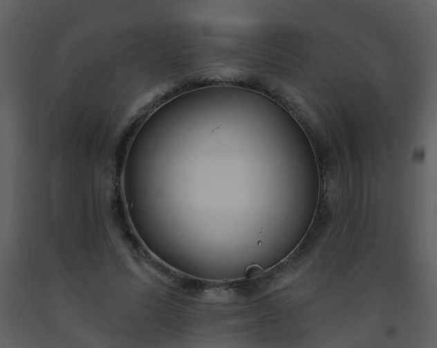X0000093580591200710221505