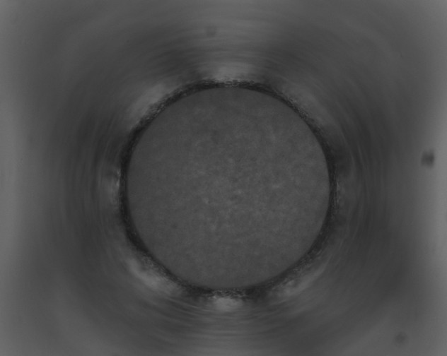 X0000093580592200710221505
