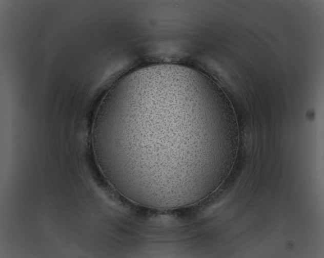 X0000093580594200710221505