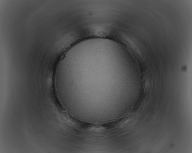 X0000093580595200710221505