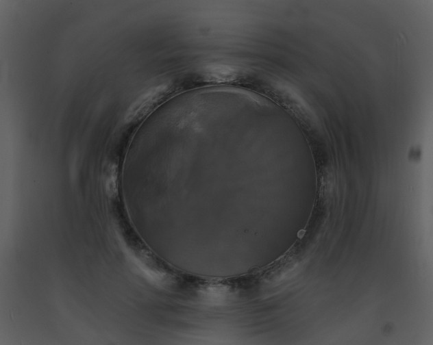X0000093580598200710221505