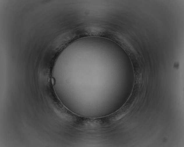 X0000093580599200710221505