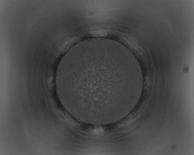 X0000093580600200710221504