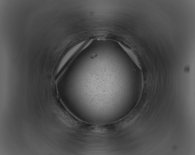 X0000093580601200710221504