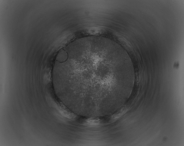 X0000093580606200710221504