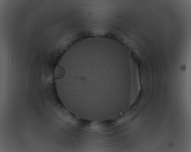 X0000093580608200710221504
