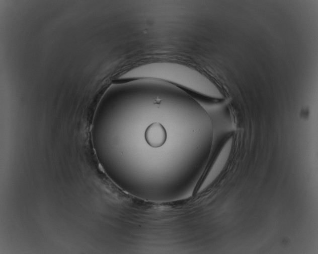 X0000093580609200710221504