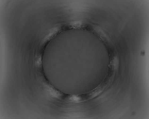 X0000093580610200710221504