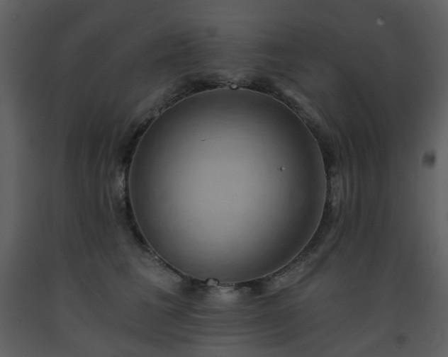 X0000093580613200710221504