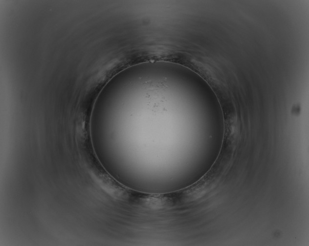X0000093580615200710221504