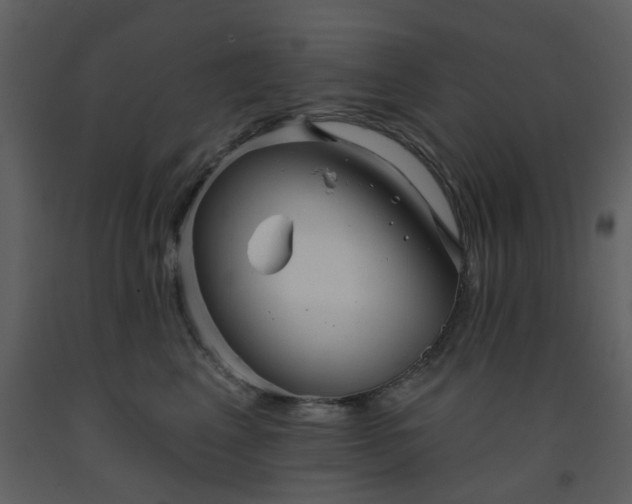X0000093580617200710221504