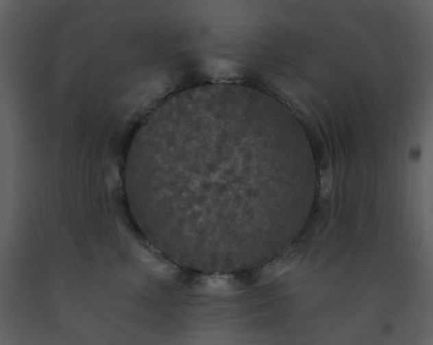 X0000093580618200710221504