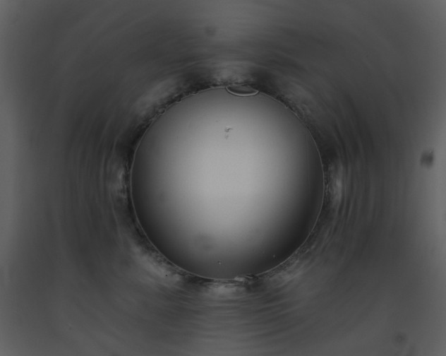X0000093580619200710221504