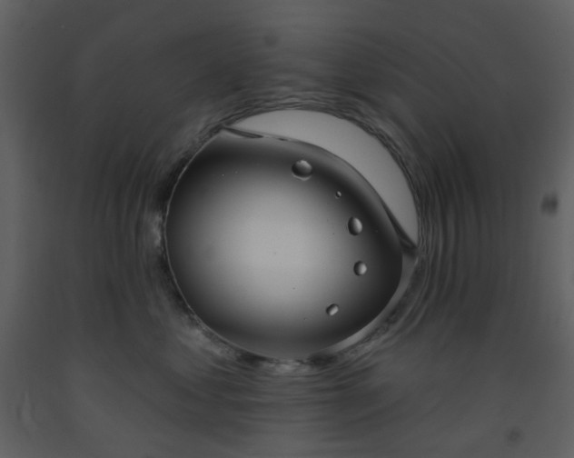 X0000093580621200710221504