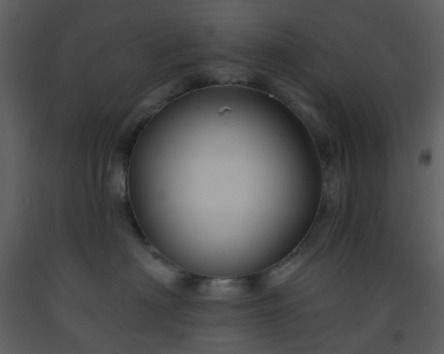 X0000093580622200710221504