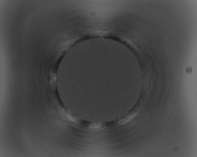 X0000093580624200710221504