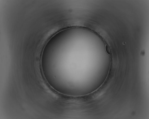 X0000093580625200710221504