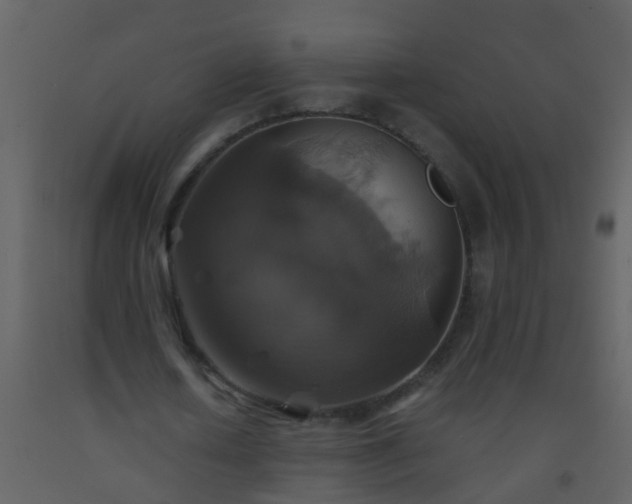 X0000093580626200710221504