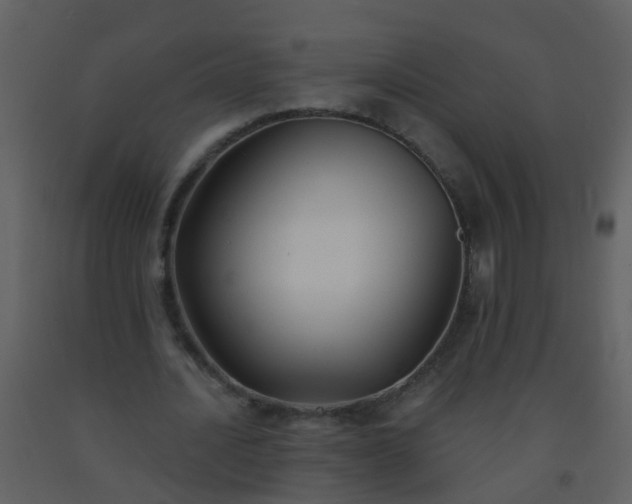X0000093580628200710221504