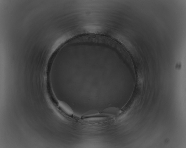 X0000093580630200710221504
