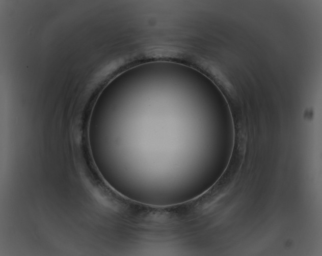 X0000093580631200710221504