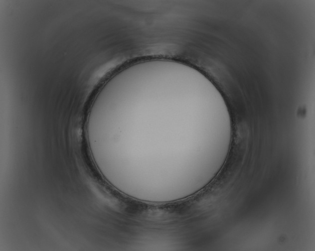 X0000093580632200710221504