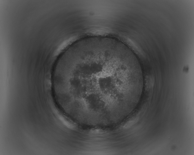 X0000093580634200710221504
