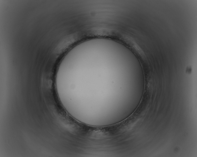 X0000093580635200710221504