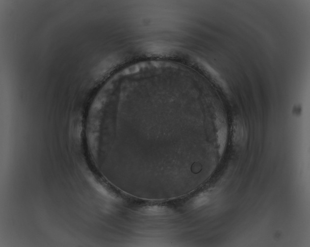 X0000093580637200710221504