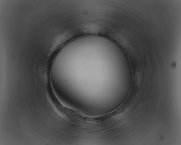 X0000093580638200710221504