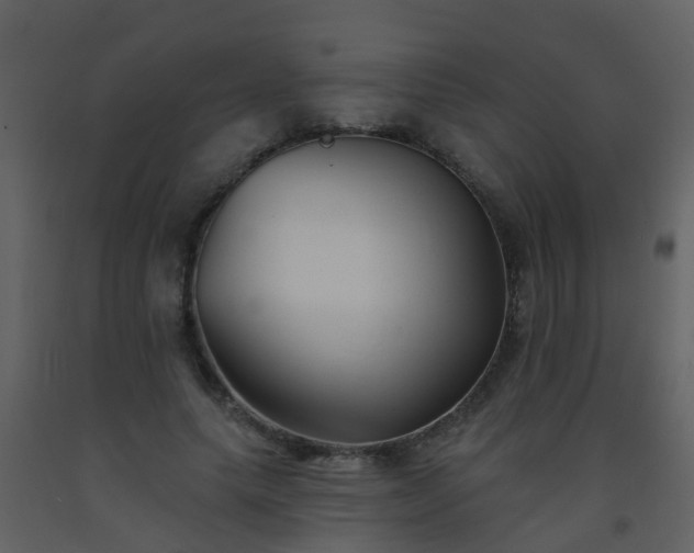 X0000093580639200710221504