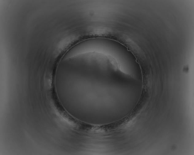 X0000093580640200710221504