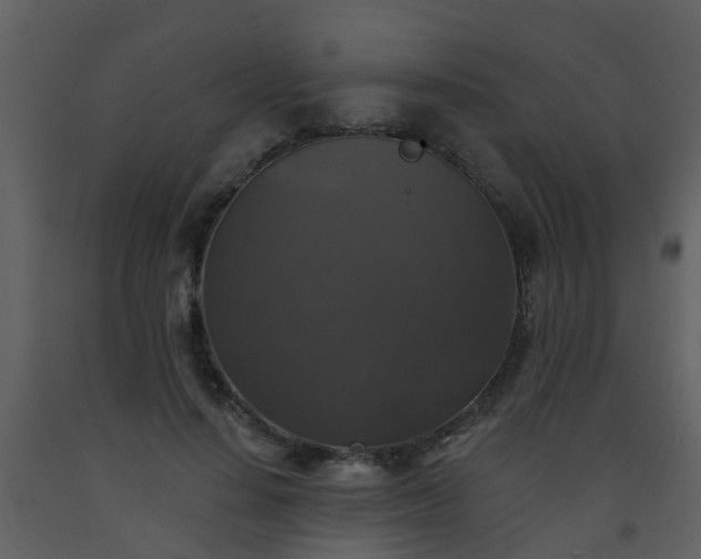 X0000093580644200710221504
