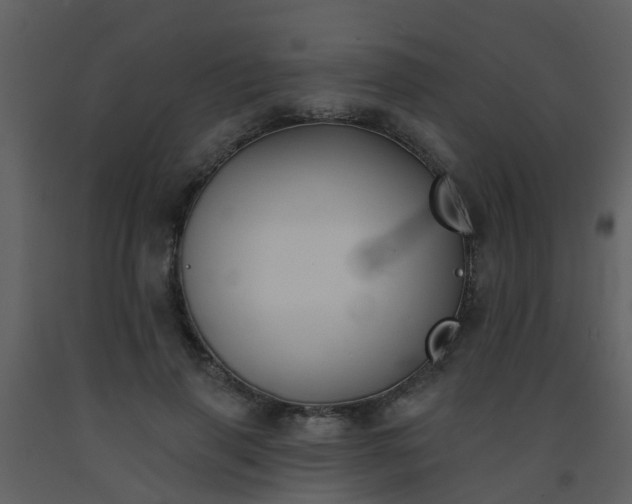 X0000093580645200710221504