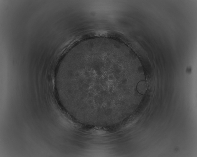 X0000093580648200710221504