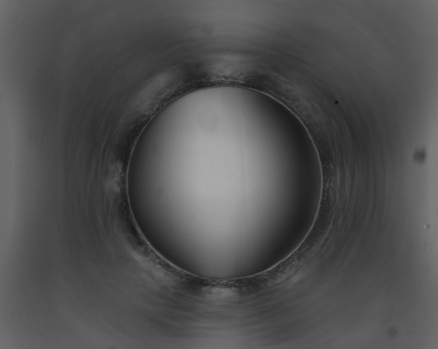 X0000093580649200710221504