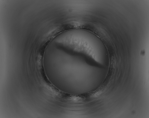 X0000093580650200710221504