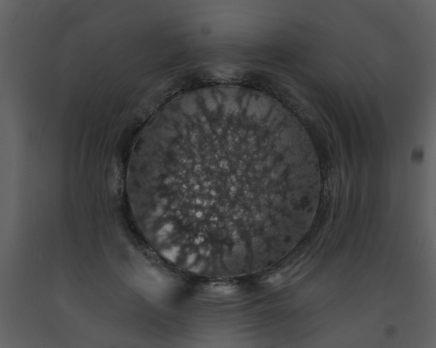 X0000093580651200710221504