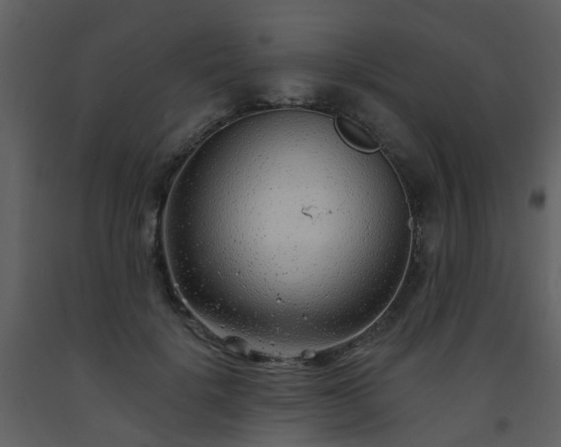 X0000093580652200710221504