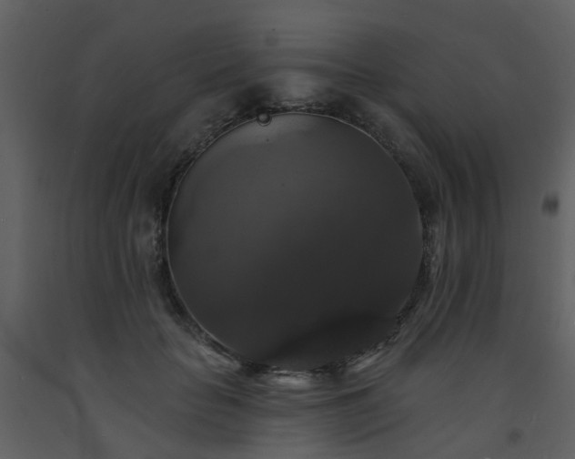 X0000093580653200710221504